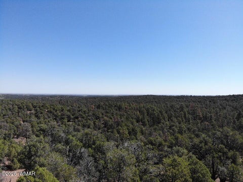Tiny photo for TBD Bear Run #205-31-053, Show Low, AZ 85901 (MLS # 262866)