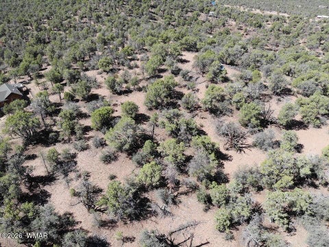 Tiny photo for TBD Bear Run #205-31-053, Show Low, AZ 85901 (MLS # 262866)