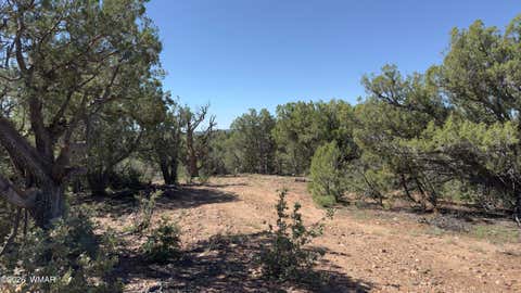 Tiny photo for TBD Bear Run #205-31-053, Show Low, AZ 85901 (MLS # 262866)