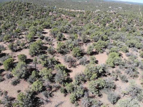 Tiny photo for TBD Bear Run #205-31-053, Show Low, AZ 85901 (MLS # 262866)