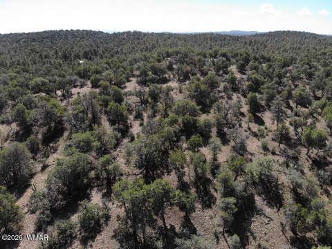 Tiny photo for TBD Bear Run #205-31-053, Show Low, AZ 85901 (MLS # 262866)