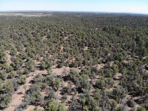 Tiny photo for TBD Bear Run #205-31-053, Show Low, AZ 85901 (MLS # 262866)