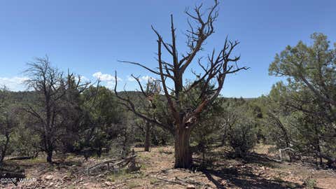 Tiny photo for TBD Bear Run #205-31-053, Show Low, AZ 85901 (MLS # 262866)