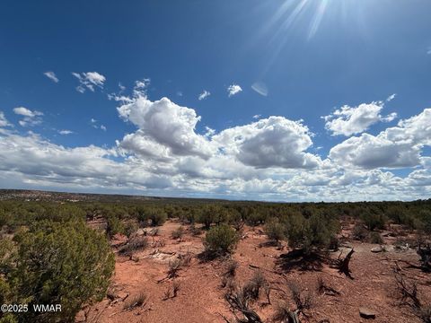 Photo of 8933 Blue Jay Lane, Snowflake, AZ 85937 (MLS # 258023)