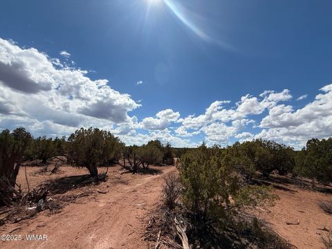 Tiny photo for 8933 Blue Jay Lane, Snowflake, AZ 85937 (MLS # 258023)