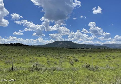 Tiny photo for TBD Parcel 2, Springerville, AZ 85938 (MLS # 251559)
