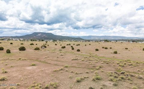 Tiny photo for TBD Parcel 2, Springerville, AZ 85938 (MLS # 251559)