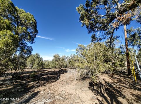 Tiny photo for 1841 Rocky Bottom Place, Show Low, AZ 85901 (MLS # 258642)