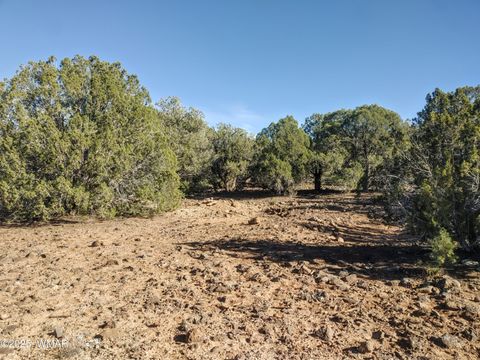 Photo of 1841 Rocky Bottom Place, Show Low, AZ 85901 (MLS # 258642)