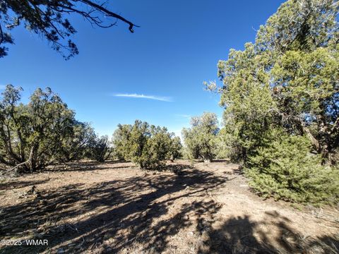 Tiny photo for 1841 Rocky Bottom Place, Show Low, AZ 85901 (MLS # 258642)