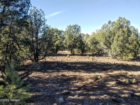 Tiny photo for 1841 Rocky Bottom Place, Show Low, AZ 85901 (MLS # 258642)