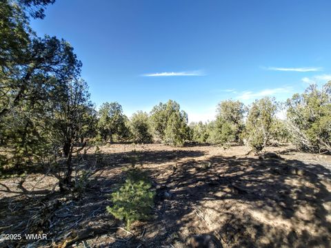 Tiny photo for 1841 Rocky Bottom Place, Show Low, AZ 85901 (MLS # 258642)