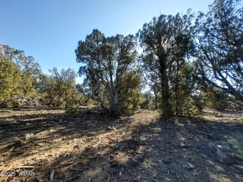 Tiny photo for 1841 Rocky Bottom Place, Show Low, AZ 85901 (MLS # 258642)