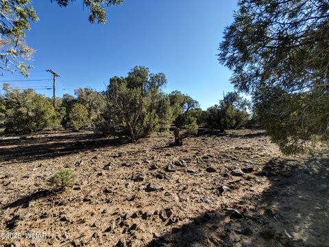 Tiny photo for 1841 Rocky Bottom Place, Show Low, AZ 85901 (MLS # 258642)