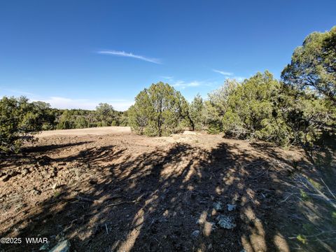 Tiny photo for 1841 Rocky Bottom Place, Show Low, AZ 85901 (MLS # 258642)