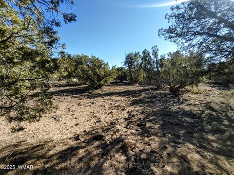 Tiny photo for 1841 Rocky Bottom Place, Show Low, AZ 85901 (MLS # 258642)