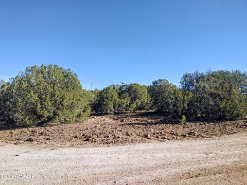Tiny photo for 1841 Rocky Bottom Place, Show Low, AZ 85901 (MLS # 258642)
