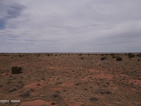 Photo of 5473 TBD White Antelope Road, Snowflake, AZ 85937 (MLS # 257244)