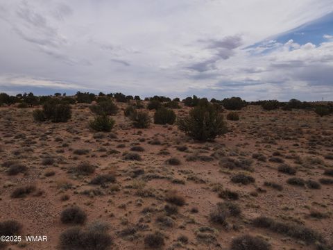 Tiny photo for 5473 TBD White Antelope Road, Snowflake, AZ 85937 (MLS # 257244)