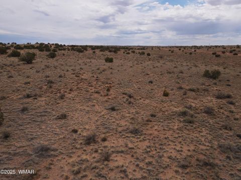 Tiny photo for 5473 TBD White Antelope Road, Snowflake, AZ 85937 (MLS # 257244)