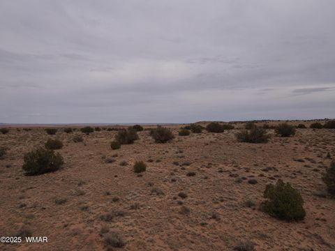 Tiny photo for 5473 TBD White Antelope Road, Snowflake, AZ 85937 (MLS # 257244)