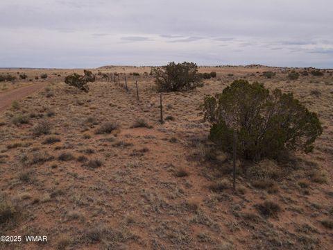 Tiny photo for 5473 TBD White Antelope Road, Snowflake, AZ 85937 (MLS # 257244)
