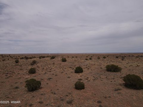 Tiny photo for 5473 TBD White Antelope Road, Snowflake, AZ 85937 (MLS # 257244)