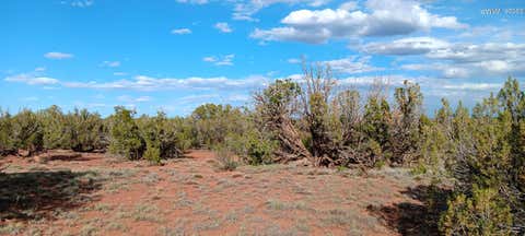 Photo of 9730 Texas Lane, Show Low, AZ 85901 (MLS # 262280)
