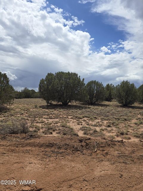 Tiny photo for 4979 W Tharp Road, Snowflake, AZ 85937 (MLS # 257861)