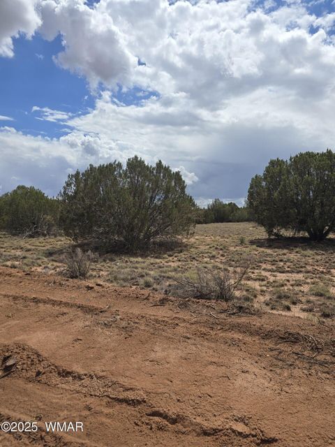 Photo of 4979 W Tharp Road, Snowflake, AZ 85937 (MLS # 257861)