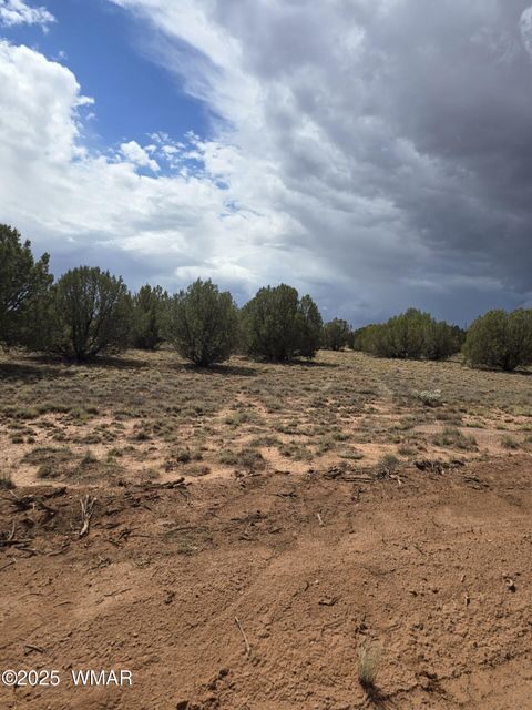 Tiny photo for 4979 W Tharp Road, Snowflake, AZ 85937 (MLS # 257861)