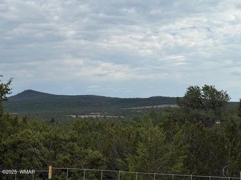 Photo of TBD CR 3076-D, Vernon, AZ 85940 (MLS # 257682)