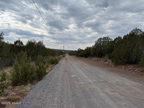 Tiny photo for TBD CR 3076-D, Vernon, AZ 85940 (MLS # 257682)