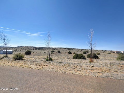 Tiny photo for 1221 W Farmhouse Drive, Taylor, AZ 85939 (MLS # 259547)
