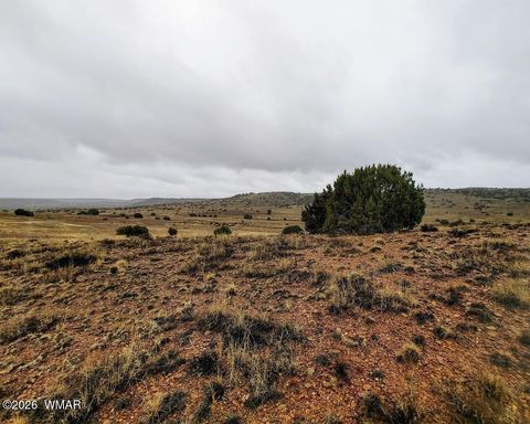 Tiny photo for 1221 W Farmhouse Drive, Taylor, AZ 85939 (MLS # 259547)