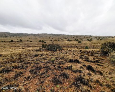 Tiny photo for 1221 W Farmhouse Drive, Taylor, AZ 85939 (MLS # 259547)