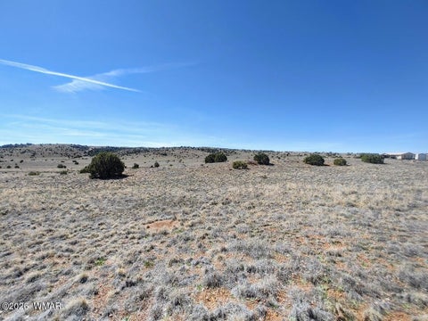 Tiny photo for 1221 W Farmhouse Drive, Taylor, AZ 85939 (MLS # 259547)