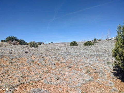 Tiny photo for 1221 W Farmhouse Drive, Taylor, AZ 85939 (MLS # 259547)