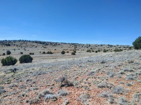 Tiny photo for 1221 W Farmhouse Drive, Taylor, AZ 85939 (MLS # 259547)