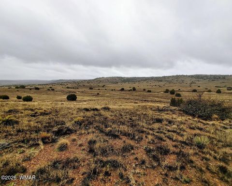 Tiny photo for 1221 W Farmhouse Drive, Taylor, AZ 85939 (MLS # 259547)