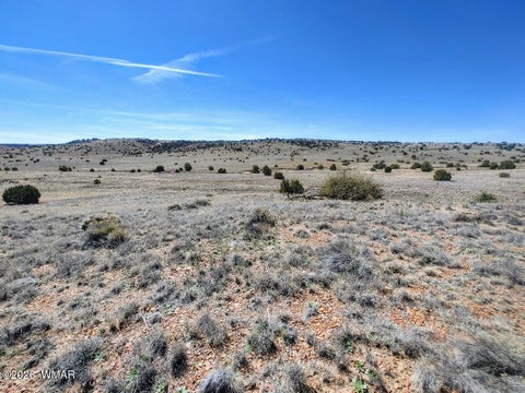 Tiny photo for 1221 W Farmhouse Drive, Taylor, AZ 85939 (MLS # 259547)