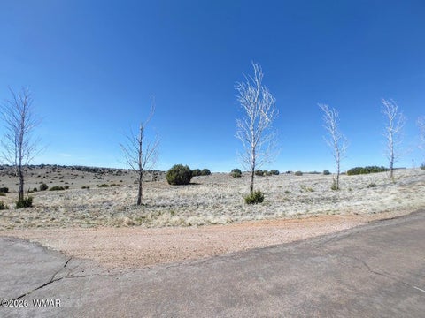 Tiny photo for 1221 W Farmhouse Drive, Taylor, AZ 85939 (MLS # 259547)
