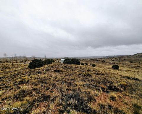 Tiny photo for 1221 W Farmhouse Drive, Taylor, AZ 85939 (MLS # 259547)