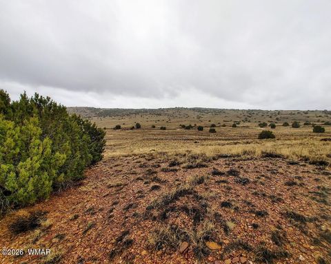 Tiny photo for 1221 W Farmhouse Drive, Taylor, AZ 85939 (MLS # 259547)