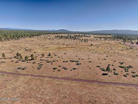 Tiny photo for 161 Mountain View Ranch Road, Lakeside, AZ 85929 (MLS # 256310)