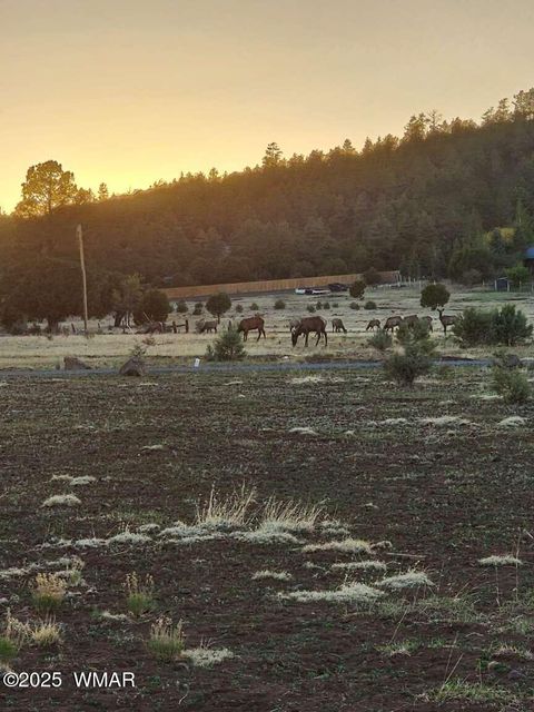 Tiny photo for 161 Mountain View Ranch Road, Lakeside, AZ 85929 (MLS # 256310)