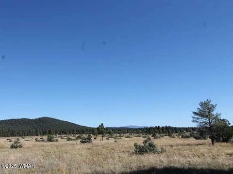 Tiny photo for 161 Mountain View Ranch Road, Lakeside, AZ 85929 (MLS # 256310)
