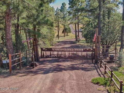 Photo of 161 Mountain View Ranch Road, Lakeside, AZ 85929 (MLS # 256310)