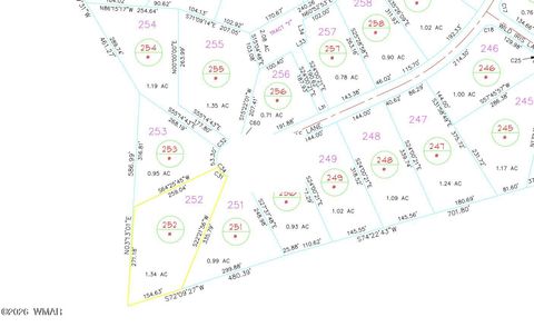 Tiny photo for 1521 S Little Leaf Lane, Show Low, AZ 85901 (MLS # 259098)