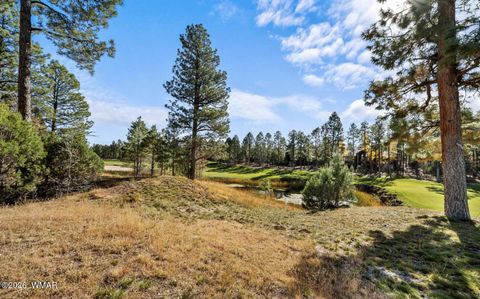 Tiny photo for 1521 S Little Leaf Lane, Show Low, AZ 85901 (MLS # 259098)